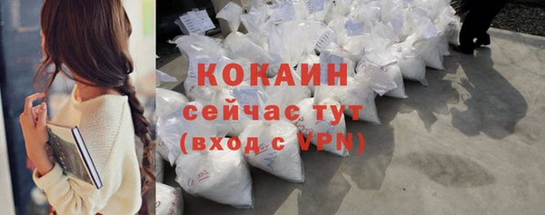 ГАЛЛЮЦИНОГЕННЫЕ ГРИБЫ Заволжье