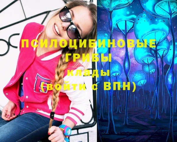 индика Заволжск