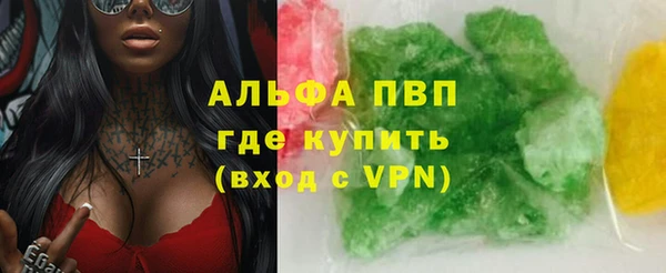 индика Заволжск