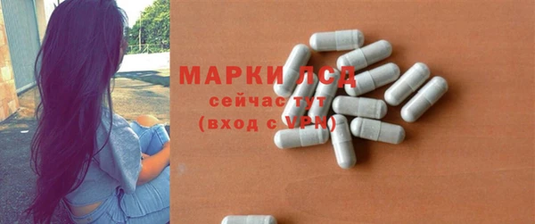 ГАЛЛЮЦИНОГЕННЫЕ ГРИБЫ Заволжье