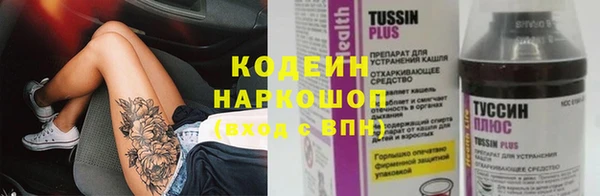 ГАЛЛЮЦИНОГЕННЫЕ ГРИБЫ Кущёвская