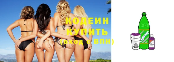 сатива Заводоуковск