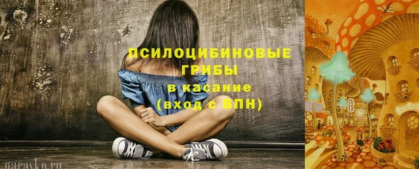 индика Заволжск