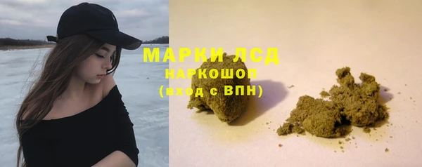 индика Заволжск