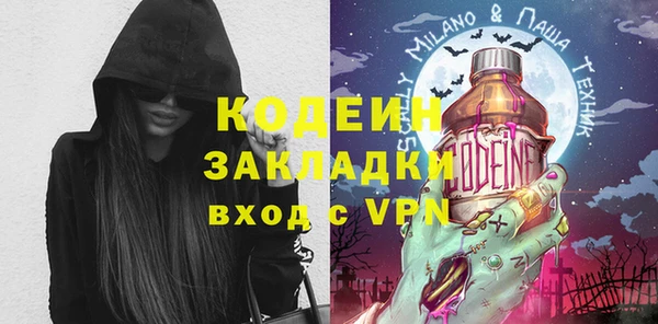 индика Заволжск