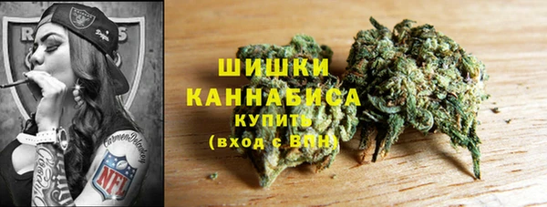 сатива Заводоуковск
