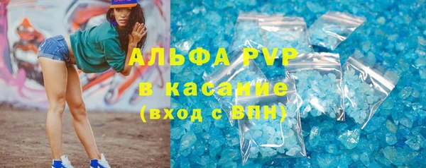 ГАЛЛЮЦИНОГЕННЫЕ ГРИБЫ Заволжье