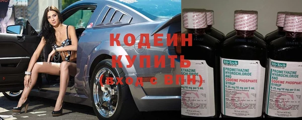 ГАЛЛЮЦИНОГЕННЫЕ ГРИБЫ Заволжье