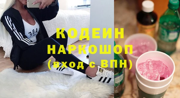 сатива Заводоуковск
