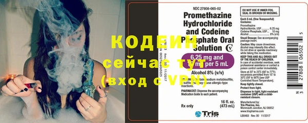 ГАЛЛЮЦИНОГЕННЫЕ ГРИБЫ Заволжье
