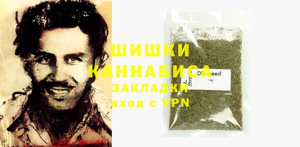 индика Заволжск